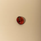 Stilla Arancione