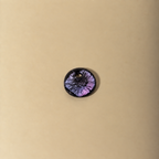 Mirea Galaxy